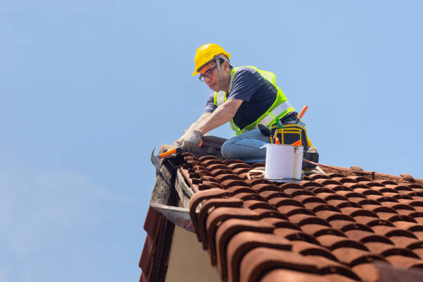 Best Roof Coating Services  in USA